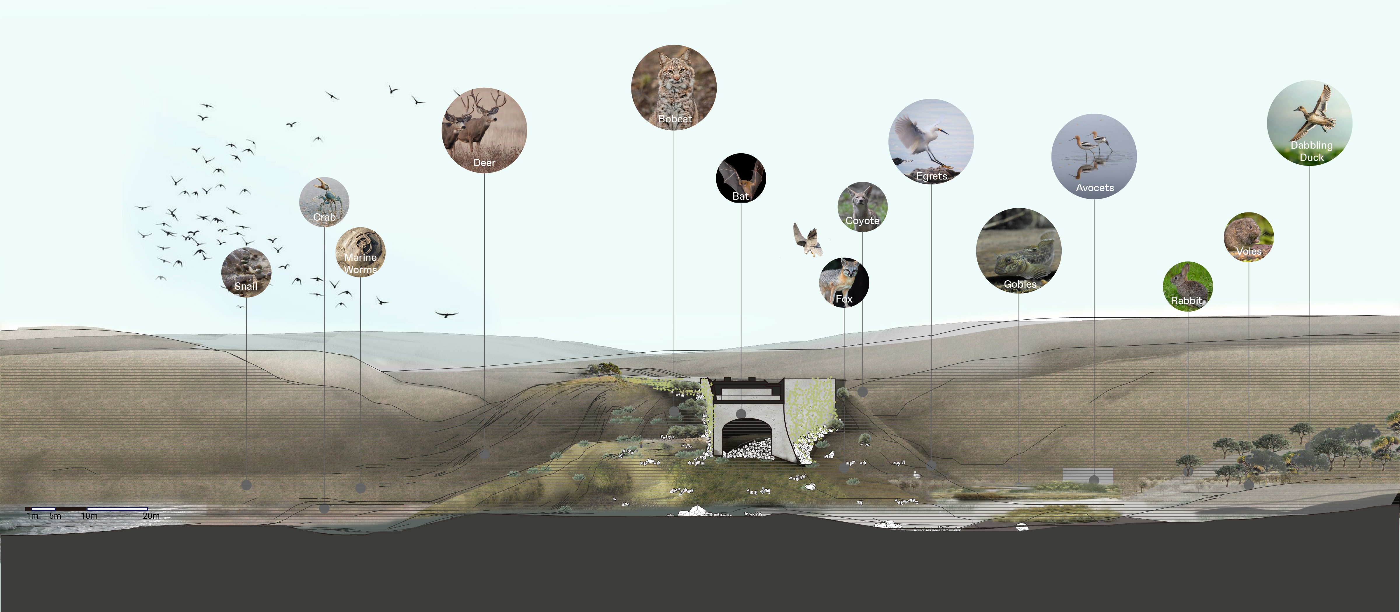 Project Detail - Portfolio